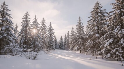Fototapeta premium Snow-covered pine forest in a winter setting