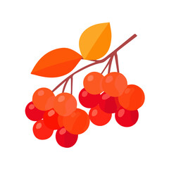 My Simple flat 2D icon red berries and fall foliage isolated on a white background, vector, flat design, animation design, vector, simple flat 2D icon, minimalist design, vector design