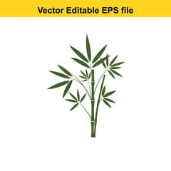 Indoor plant vector art of green bamboo plant with leaves, isolated on white background, vector editable eps file