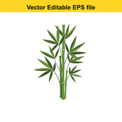 Indoor plant vector art of green bamboo plant with leaves, isolated on white background, vector editable eps file