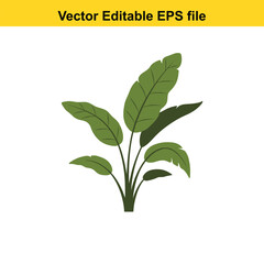 Indoor plant vector art of green tropical plant with large leaves, isolated on white background