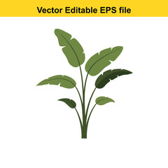 Indoor plant vector art of stylized green plant with broad leaves, isolated on white background