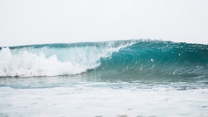 Fototapeta premium Single sea wave against a plain white surface