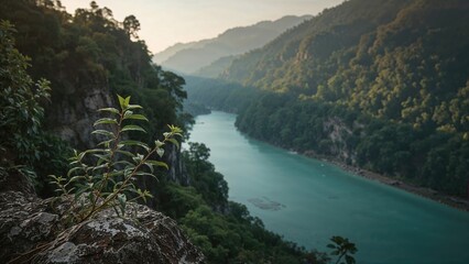 Obraz premium A small shrub perched on a cliff overlooking a winding river