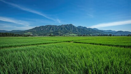 Fototapeta premium Expansive view of cultivated land with mountainous backdrop