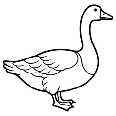 Illustration of a goose standing, isolated on white background