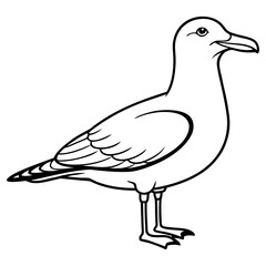 Outline illustration of a seagull standing on its legs, isolated on white background