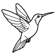 Hummingbird in flight, isolated on white background