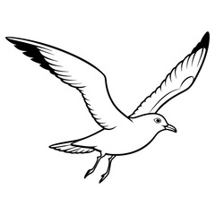 Fototapeta premium Seagull flying with wings spread, isolated on white background