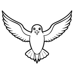 Dove flying with wings spread, isolated on white background