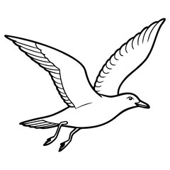 Seagull flying with wings spread isolated on white background