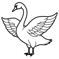 Swan with wings spread open isolated on white background