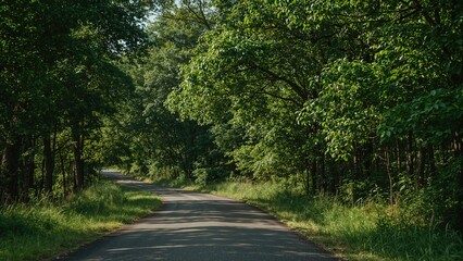 Obraz premium Scenic Road Through Verdant Trees and Forest