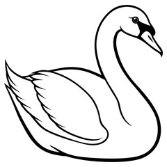 Elegant swan illustration isolated on white background