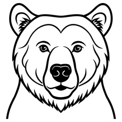 Bear face isolated on white background