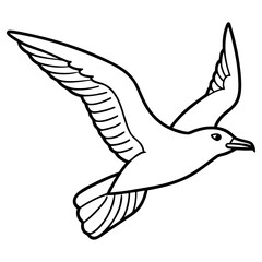 Seagull flying with wings spread, isolated on white background