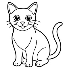 Cute cat sitting, isolated on white background