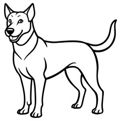 Dog standing, isolated on white background
