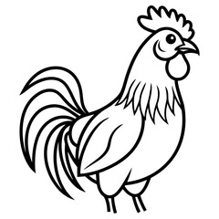 A black and white illustration of a rooster standing, isolated on a white background