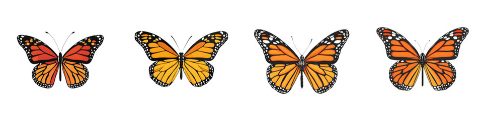 Obraz premium Monarch Butterfly Collection: Colorful Insect Vector Set