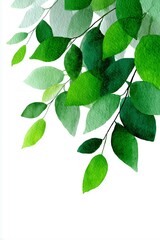 Fototapeta premium Watercolor illustration of overlapping green leaves with detailed texture on a white background