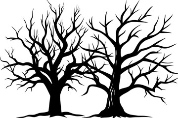 Obraz premium Silhouette of a tree