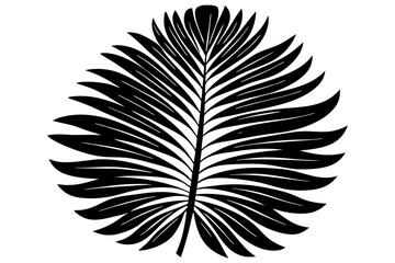 Obraz premium Feather vector illustration