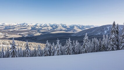 Fototapeta premium Charming winter scenery perfect for nature enthusiasts