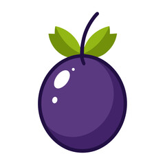 vector illustration of plum