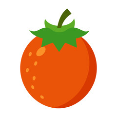 vector illustration of tomato