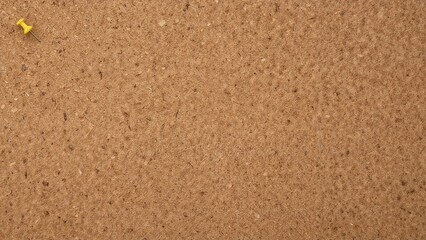Wooden Corkboard Panel with Blank Surface