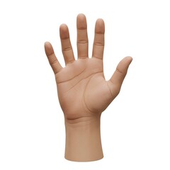 Human hand showing five fingers raised isolated on white background isolated on transparent background silhouette