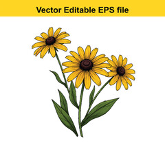 Naklejka premium Indoor plant vector art of three yellow blackeyed susan flowers isolated on white background