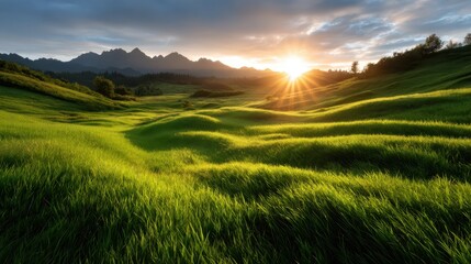 A breathtaking view of lush green fields illuminated by the soft golden light of a rising sun, set against majestic mountain peaks in the background, capturing nature's serenity.