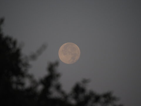La Luna es el sat&eacute;lite natural de la Tierra, visible de noche, que influye en mareas y ha guiado calendarios y culturas desde la antig&uuml;edad.