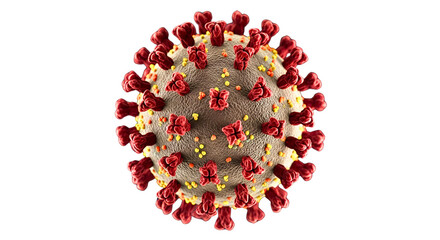 covid 19 coronavirus omicron isolated



