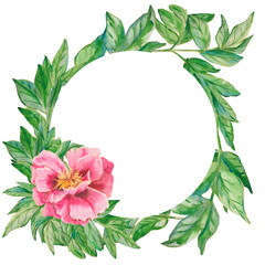 Pink flower. Peony flower with leaves watercolor round frame. Hand painted pink wreath with copy space perfect for wedding invitations, branding, packaging, fabric design, stationary and cards.