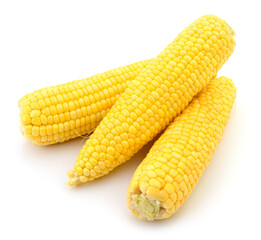 Fresh yellow corn cobs isolated on white background