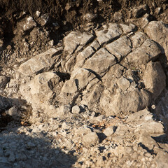 Rocky terrain with uneven surfaces and various textures