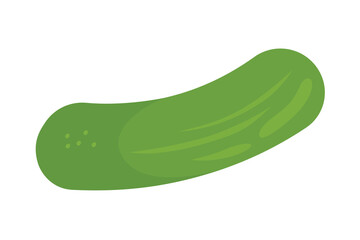 cucumber on white background. whole cucumber.
