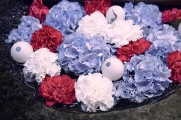 Mountainous region adorned with green leaves and water flowers. Sounds of Summer lively worshippers.
