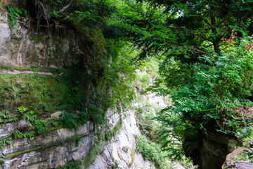 岩の間から見える滝