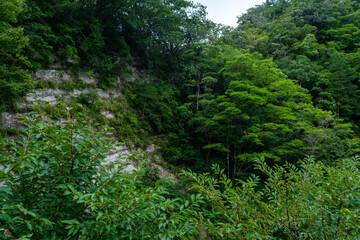岩の間から見える滝
