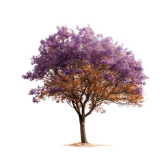 Obraz premium Purple and Gold Tree