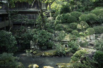 Mountainous region adorned with green leaves and water flowers. Sounds of Summer lively worshippers.
