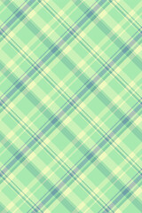 Sexy pattern check tartan, indoor texture background vector. Cool seamless fabric textile plaid in light and green colors.