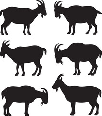 Fototapeta premium Six Black Silhouette Goats Standing and Sitting on White Background animal farm