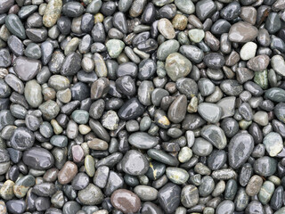 Close-up texture of smooth wet pebbles in various shades of grey, green, and brown, creating a natural and organic background.Close-up texture of smooth wet pebbles in various shades of grey, green, a