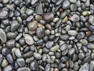 Close-up texture of smooth wet pebbles in various shades of grey, green, and brown, creating a natural and organic background.Close-up texture of smooth wet pebbles in various shades of grey, green, a