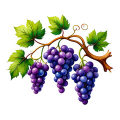 Fototapeta premium Vibrant Red Grapes on the Vine: A Detailed Illustration of Fresh Fruit on transparent background